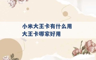 小米大王卡有什么用 大王卡哪家好用 