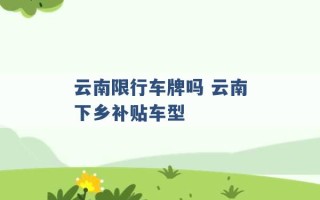 云南限行车牌吗 云南下乡补贴车型 