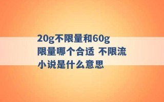 20g不限量和60g限量哪个合适 不限流小说是什么意思 