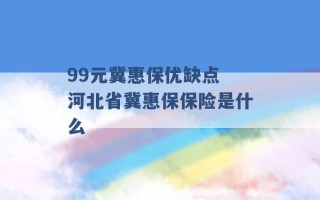 99元冀惠保优缺点 河北省冀惠保保险是什么 