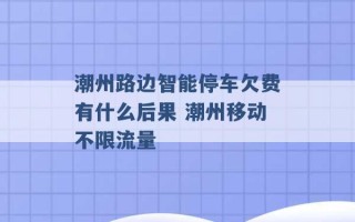 潮州路边智能停车欠费有什么后果 潮州移动不限流量 