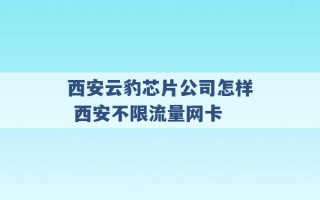 西安云豹芯片公司怎样 西安不限流量网卡 