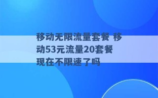 移动无限流量套餐 移动53元流量20套餐现在不限速了吗 