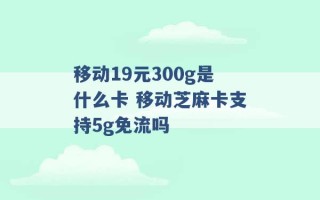 移动19元300g是什么卡 移动芝麻卡支持5g免流吗 