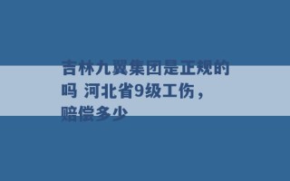 吉林九翼集团是正规的吗 河北省9级工伤，赔偿多少 