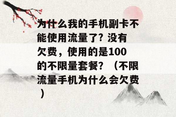 为什么我的手机副卡不能使用流量了? 没有欠费，使用的是100的不限量套餐？（不限流量手机为什么会欠费 ）-第1张图片-电信联通移动号卡网