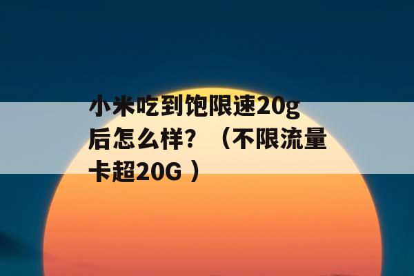 小米吃到饱限速20g后怎么样？（不限流量卡超20G ）-第1张图片-电信联通移动号卡网