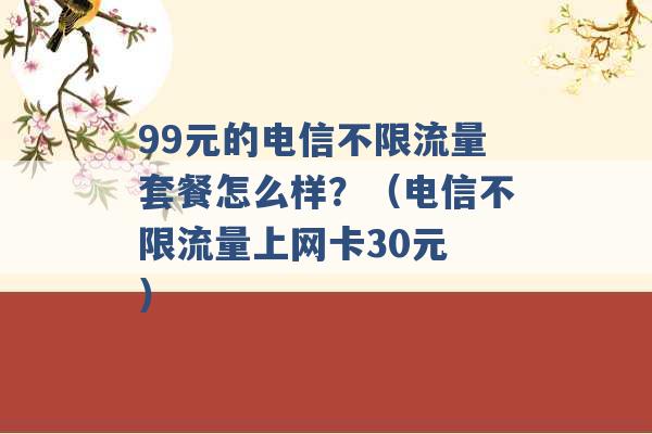 99元的电信不限流量套餐怎么样？（电信不限流量上网卡30元 ）-第1张图片-电信联通移动号卡网