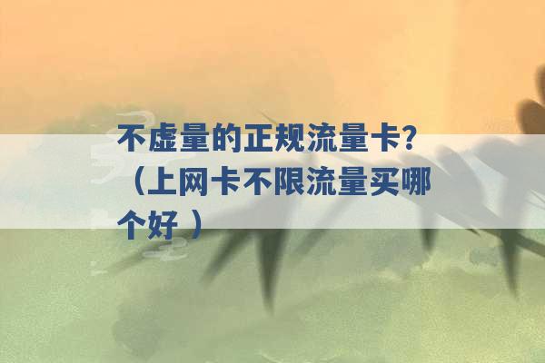 不虚量的正规流量卡？（上网卡不限流量买哪个好 ）-第1张图片-电信联通移动号卡网