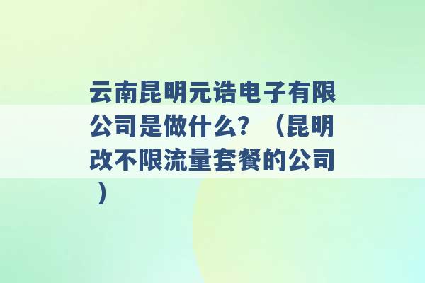 云南昆明元诰电子有限公司是做什么？（昆明改不限流量套餐的公司 ）-第1张图片-电信联通移动号卡网