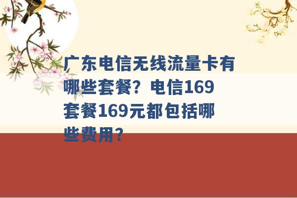 广东电信无线流量卡有哪些套餐？电信169套餐169元都包括哪些费用？ -第1张图片-电信联通移动号卡网