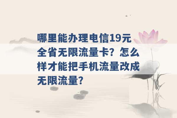 哪里能办理电信19元全省无限流量卡？怎么样才能把手机流量改成无限流量？ -第1张图片-电信联通移动号卡网