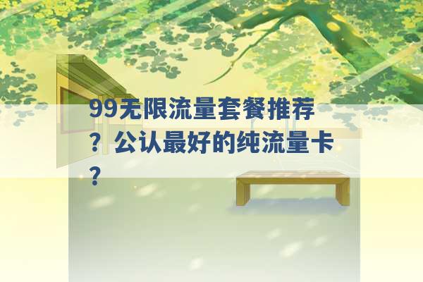 99无限流量套餐推荐？公认最好的纯流量卡？ -第1张图片-电信联通移动号卡网