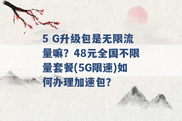 5 G升级包是无限流量嘛？48元全国不限量套餐(5G限速)如何办理加速包？ -第1张图片-电信联通移动号卡网