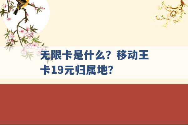 无限卡是什么？移动王卡19元归属地？ -第1张图片-电信联通移动号卡网