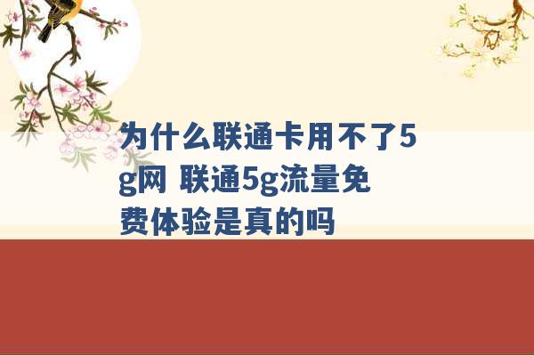 为什么联通卡用不了5g网 联通5g流量免费体验是真的吗 -第1张图片-电信联通移动号卡网