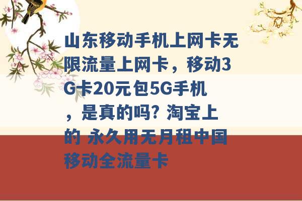 山东移动手机上网卡无限流量上网卡，移动3G卡20元包5G手机，是真的吗? 淘宝上的 永久用无月租中国移动全流量卡 -第1张图片-电信联通移动号卡网