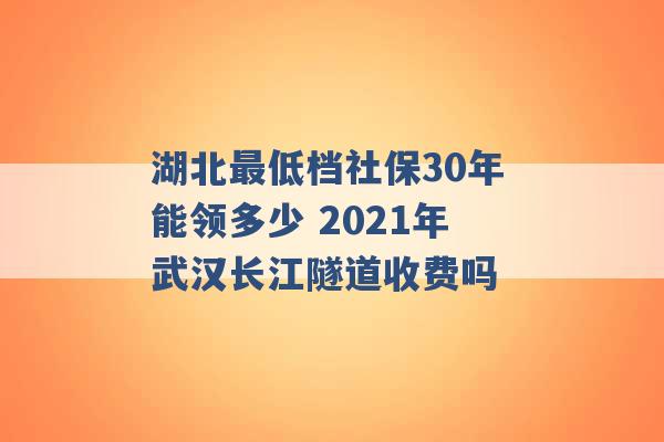 湖北最低档社保30年能领多少 2021年武汉长江隧道收费吗 -第1张图片-电信联通移动号卡网