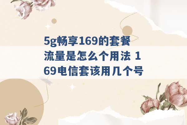 5g畅享169的套餐流量是怎么个用法 169电信套该用几个号 -第1张图片-电信联通移动号卡网