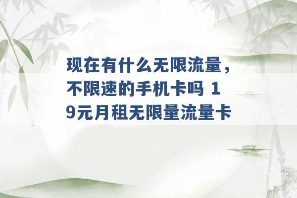 现在有什么无限流量，不限速的手机卡吗 19元月租无限量流量卡 -第1张图片-电信联通移动号卡网