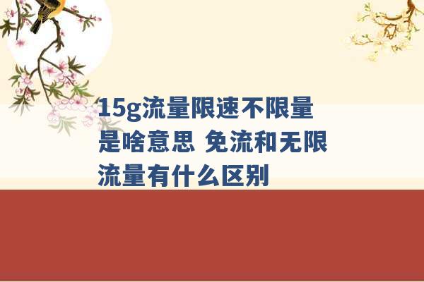 15g流量限速不限量是啥意思 免流和无限流量有什么区别 -第1张图片-电信联通移动号卡网