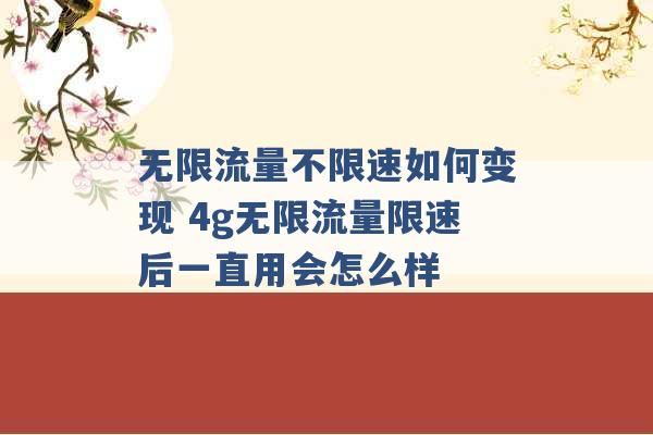 无限流量不限速如何变现 4g无限流量限速后一直用会怎么样 -第1张图片-电信联通移动号卡网