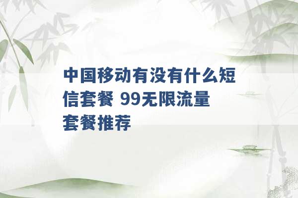 中国移动有没有什么短信套餐 99无限流量套餐推荐 -第1张图片-电信联通移动号卡网