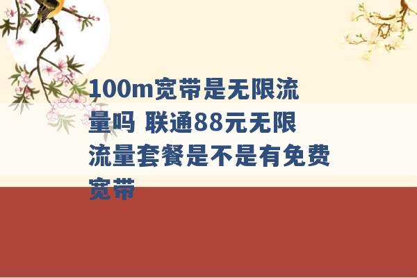 100m宽带是无限流量吗 联通88元无限流量套餐是不是有免费宽带 -第1张图片-电信联通移动号卡网