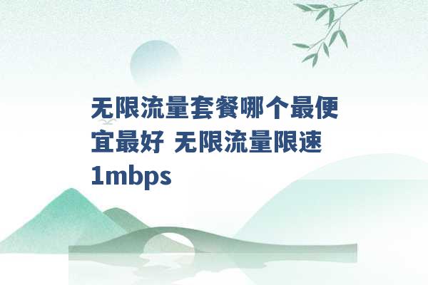 无限流量套餐哪个最便宜最好 无限流量限速1mbps -第1张图片-电信联通移动号卡网