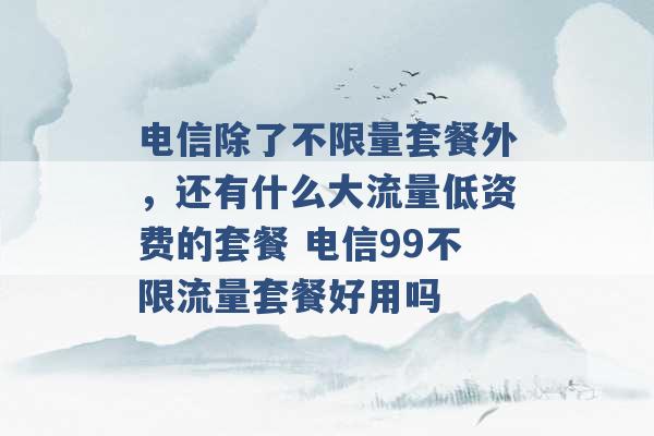 电信除了不限量套餐外，还有什么大流量低资费的套餐 电信99不限流量套餐好用吗 -第1张图片-电信联通移动号卡网