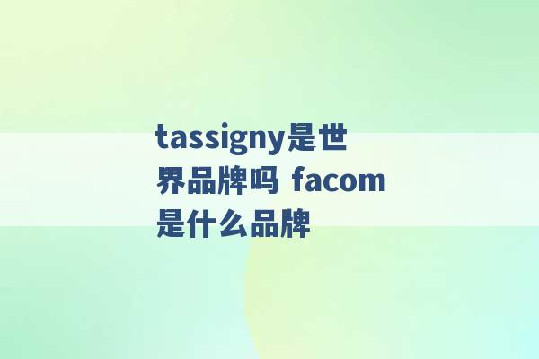 tassigny是世界品牌吗 facom是什么品牌 -第1张图片-电信联通移动号卡网