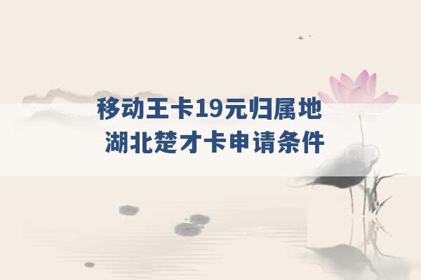 移动王卡19元归属地 湖北楚才卡申请条件 -第1张图片-电信联通移动号卡网