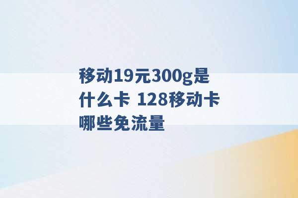 移动19元300g是什么卡 128移动卡哪些免流量 -第1张图片-电信联通移动号卡网