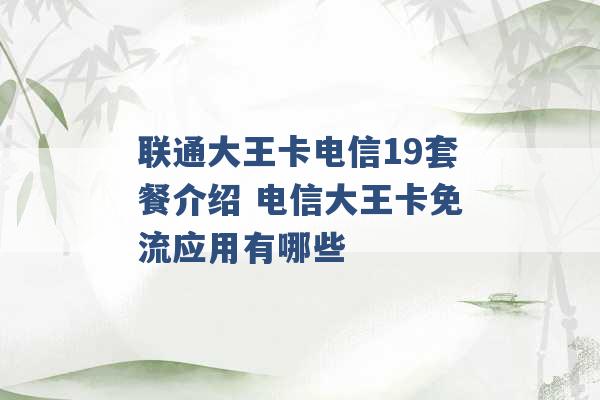 联通大王卡电信19套餐介绍 电信大王卡免流应用有哪些 -第1张图片-电信联通移动号卡网