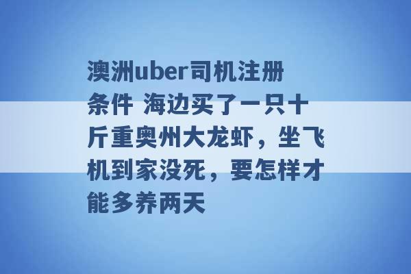 澳洲uber司机注册条件 海边买了一只十斤重奥州大龙虾，坐飞机到家没死，要怎样才能多养两天 -第1张图片-电信联通移动号卡网