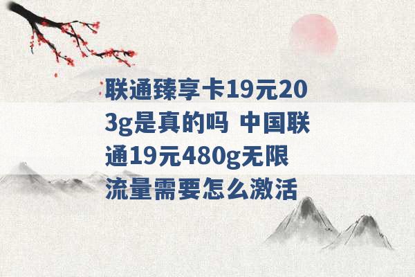 联通臻享卡19元203g是真的吗 中国联通19元480g无限流量需要怎么激活 -第1张图片-电信联通移动号卡网