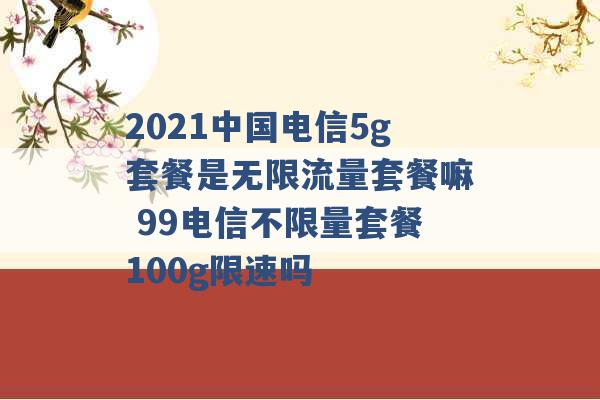 2021中国电信5g套餐是无限流量套餐嘛 99电信不限量套餐100g限速吗 -第1张图片-电信联通移动号卡网