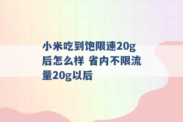 小米吃到饱限速20g后怎么样 省内不限流量20g以后 -第1张图片-电信联通移动号卡网