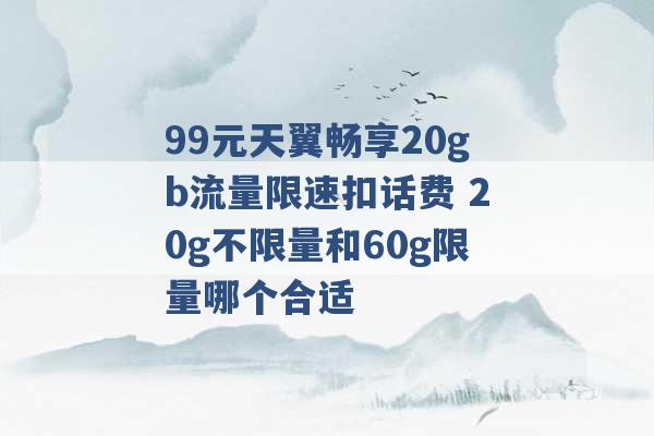 99元天翼畅享20gb流量限速扣话费 20g不限量和60g限量哪个合适 -第1张图片-电信联通移动号卡网