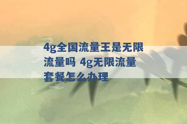 4g全国流量王是无限流量吗 4g无限流量套餐怎么办理 -第1张图片-电信联通移动号卡网