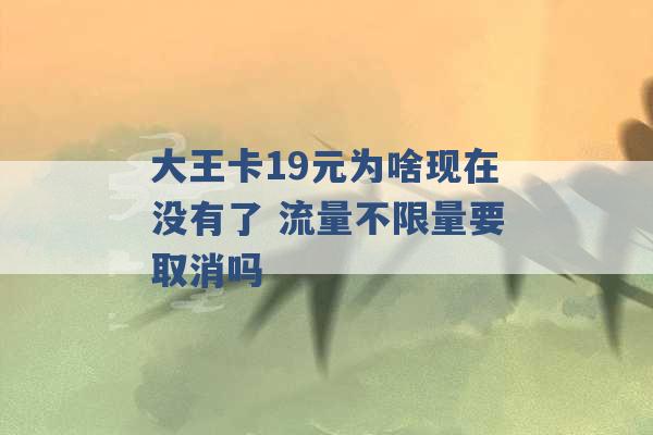 大王卡19元为啥现在没有了 流量不限量要取消吗 -第1张图片-电信联通移动号卡网