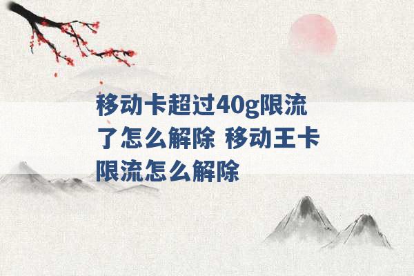 移动卡超过40g限流了怎么解除 移动王卡限流怎么解除 -第1张图片-电信联通移动号卡网