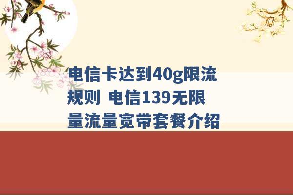 电信卡达到40g限流规则 电信139无限量流量宽带套餐介绍 -第1张图片-电信联通移动号卡网