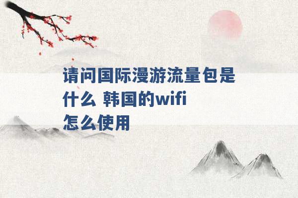 请问国际漫游流量包是什么 韩国的wifi怎么使用 -第1张图片-电信联通移动号卡网