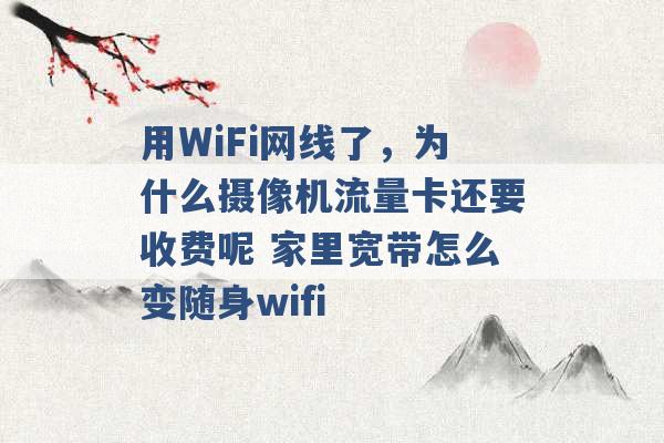 用WiFi网线了，为什么摄像机流量卡还要收费呢 家里宽带怎么变随身wifi -第1张图片-电信联通移动号卡网