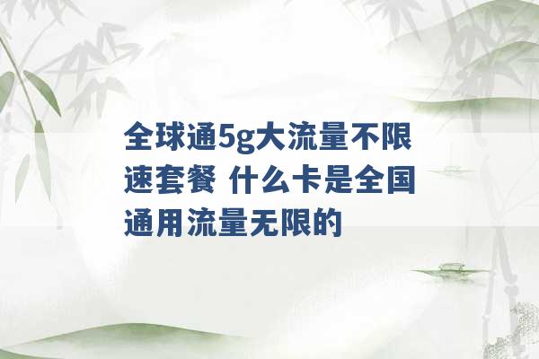 全球通5g大流量不限速套餐 什么卡是全国通用流量无限的 -第1张图片-电信联通移动号卡网