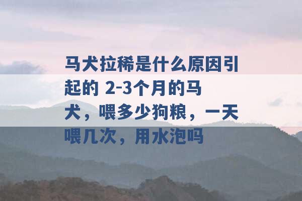 马犬拉稀是什么原因引起的 2-3个月的马犬，喂多少狗粮，一天喂几次，用水泡吗 -第1张图片-电信联通移动号卡网