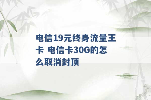 电信19元终身流量王卡 电信卡30G的怎么取消封顶 -第1张图片-电信联通移动号卡网