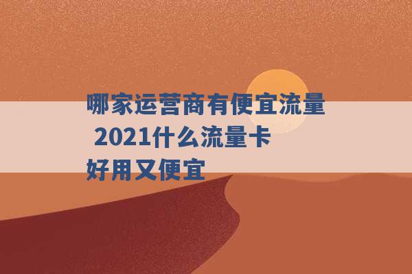 哪家运营商有便宜流量 2021什么流量卡好用又便宜 -第1张图片-电信联通移动号卡网