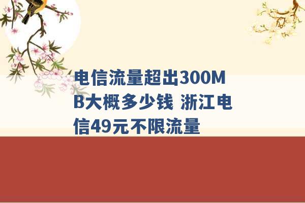 电信流量超出300MB大概多少钱 浙江电信49元不限流量 -第1张图片-电信联通移动号卡网